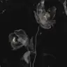 学员头像